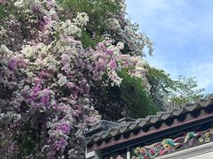 -深圳国际园林花卉博览园