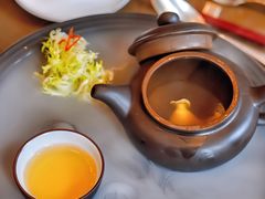 -广州富力君悦大酒店空中花园