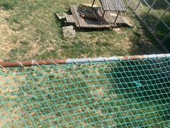 -青藏高原野生动物园