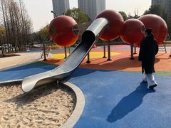 -上海市第一人民医院(松江南部)