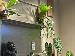 -Dogi&kiki Coffee(中心商务大厦店)