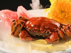 -许家菜(望江店)
