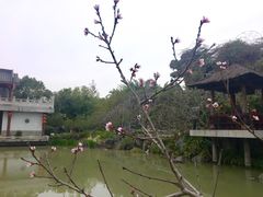-惠州西湖丰渚园