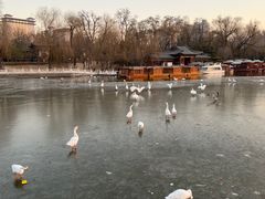 -迎泽公园