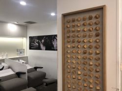 -THE LOG SALON 记录