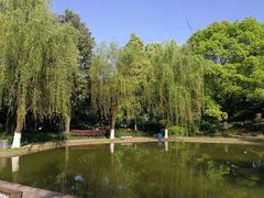 -石峰公园