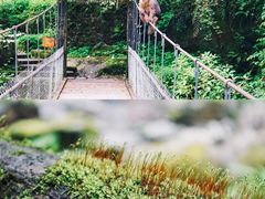 -西岭雪山大飞水景区