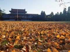 -钓鱼台国宾馆