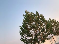 -林栖谷森林康养度假区