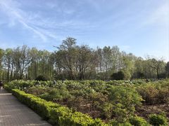 -洛阳市隋唐城遗址植物园