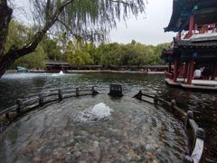 -百脉泉景区