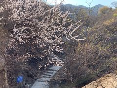 -北京凤凰岭