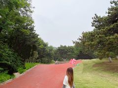 -云岗森林公园