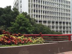 -香港大学