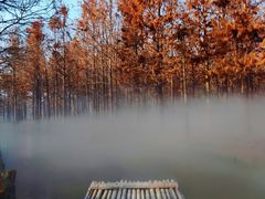 -尚湖风景区
