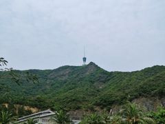 -梧桐山风景名胜区