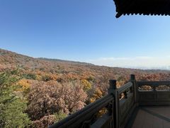 -灵谷景区