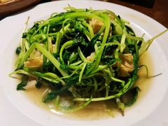 -金枝玉叶上海人家食府(三里河店)