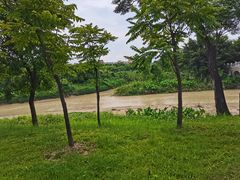 -广东花都湖国家湿地公园