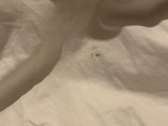 -上海如意智慧酒店(上海科学院店)