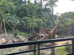 -宁波野生动物园