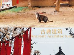 -长春观