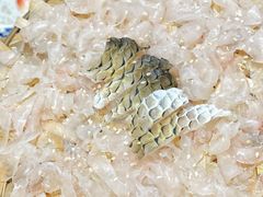 -官塘陈记鱼生·潮汕砂锅粥·牛肉火锅(潮枫路总店)