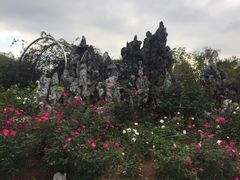 -人民公园(罗湖区)