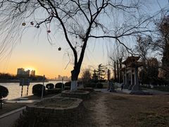 -沙澧河风景区