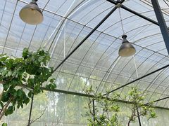大堂-MUSEO COFFEE咖啡博物馆