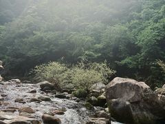 -鄣山大峡谷