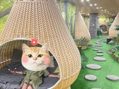 -东方之珠洗浴休闲广场(南开店)