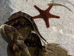 -福州罗源湾海洋世界旅游区