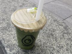 -油梨树AVOCADO TREE(嘉里中心店)