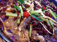 -老板恋上鱼(恒隆广场店)