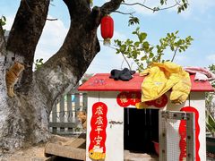 -长洲岛都市农业公园