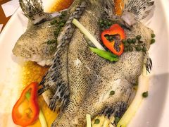 -百鱼庄(仙葫店)