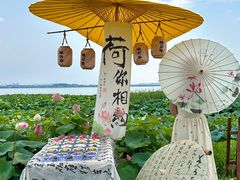 -七的湖·晚芳亭·阳澄湖农家菜·大闸蟹(莲花岛店)
