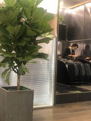 -崇尚GAVIN STYLE臻选