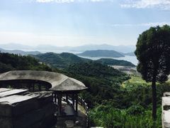 -黄贤森林公园