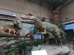 -国家自然博物馆