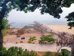 -八大关景区
