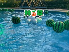 -武汉玛雅海滩水公园