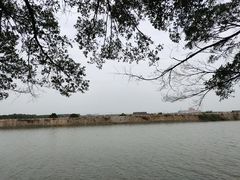 -大湾区中央湿地公园