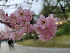 -南山植物园