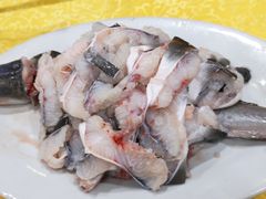 海鳗-濠轩阁特色生蚝火锅(水湾路店)