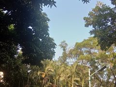 -仙岳公园