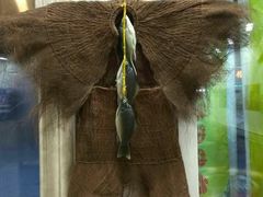 -粘豆包柴火铁锅炖