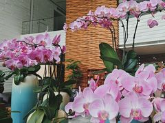 -天津海河悦榕庄·Lobby Lounge大堂吧