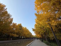 -玲珑塔公园